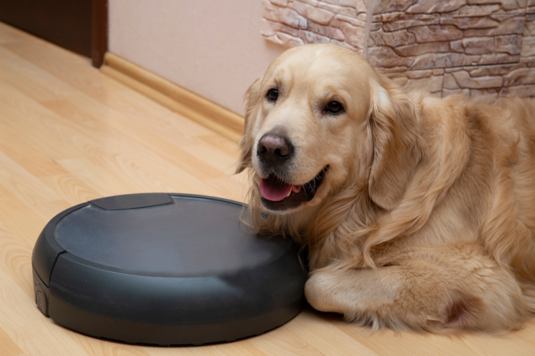 robo aspirador para quem tem pet