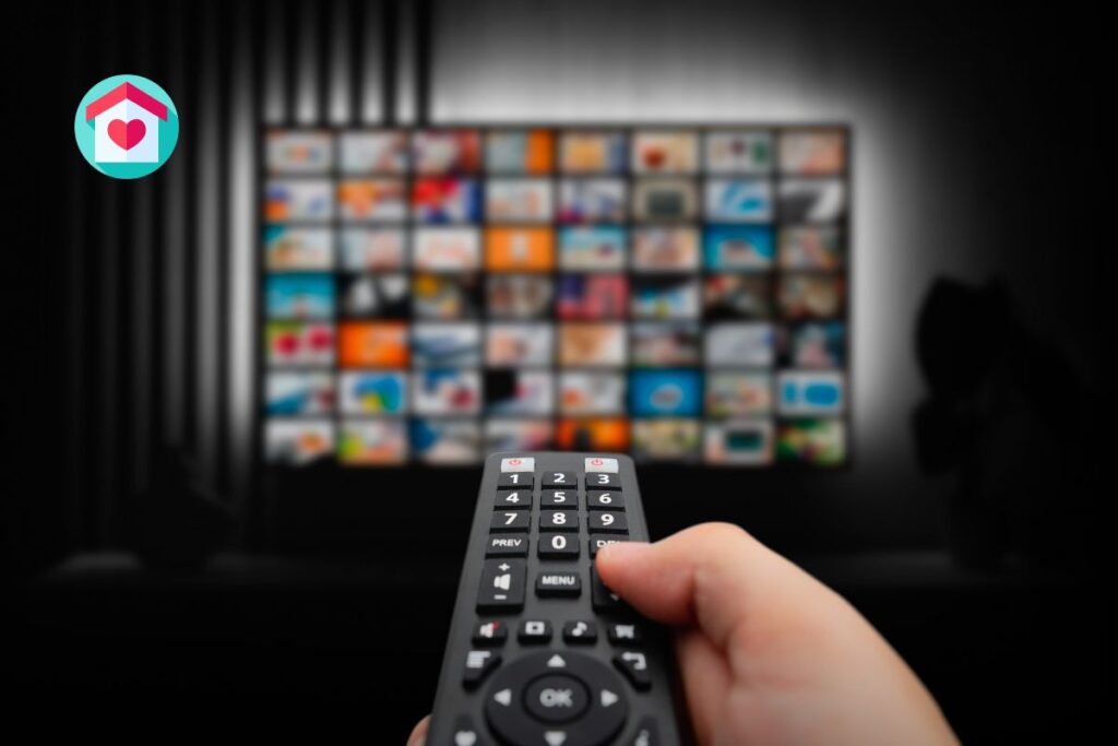 Quais canais tem no Fire TV Stick?